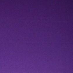 700 - violet
