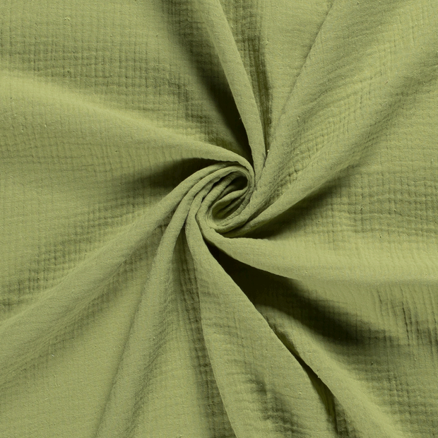 023 - olive verte