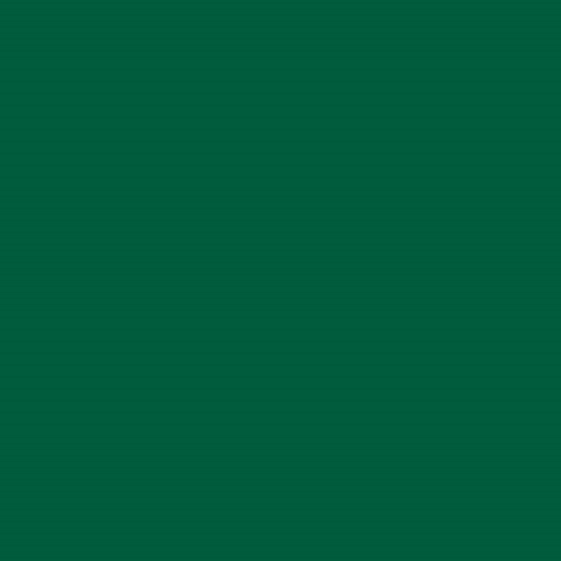 607 - vert sapin